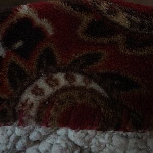 Meet your Posher, Heidi